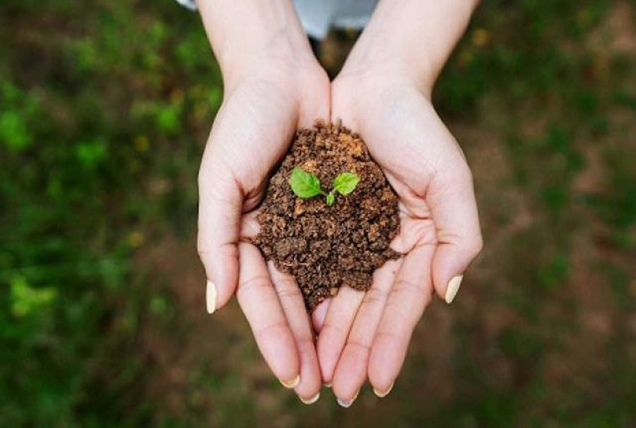 Mệnh Thổ hợp màu gì, mệnh nào? Chọn màu phong thuỷ mệnh Thổ