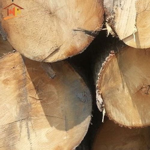 thiet_ke_khong_ten_-_2021-05-11t110638-639_7a547c7048e74caba01dab48bd671171_grande-1